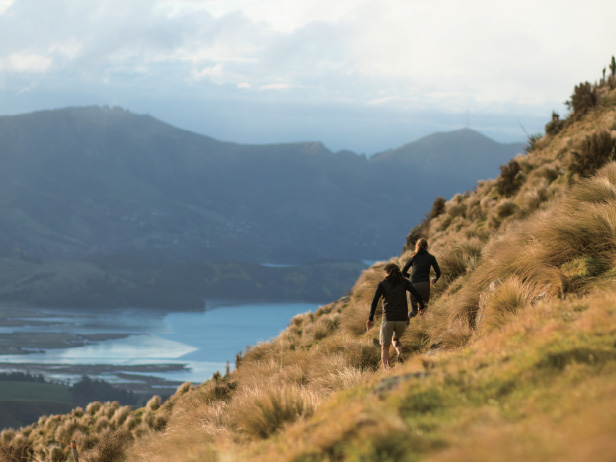 ニュージーランドの希有な自然環境から生み出された生地