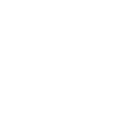 V-CLASS