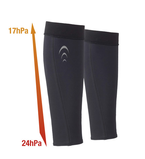 インスピレーションゲイター