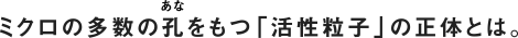 ミクロの多数の孔をもつ「活性粒子」の招待とは