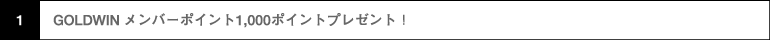 GOLDWIN メンバーポイント1,000ポイントプレゼント！