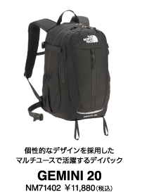 THE NORTH FACE GEMINI 20