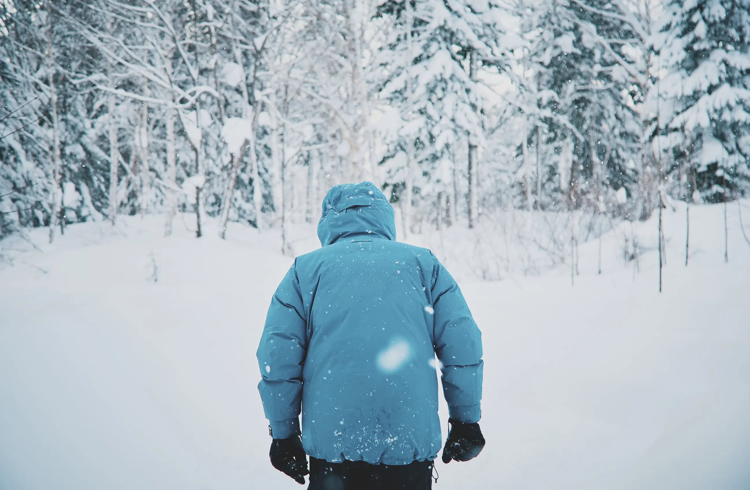 Winter Activities FALL / WINTER 2025