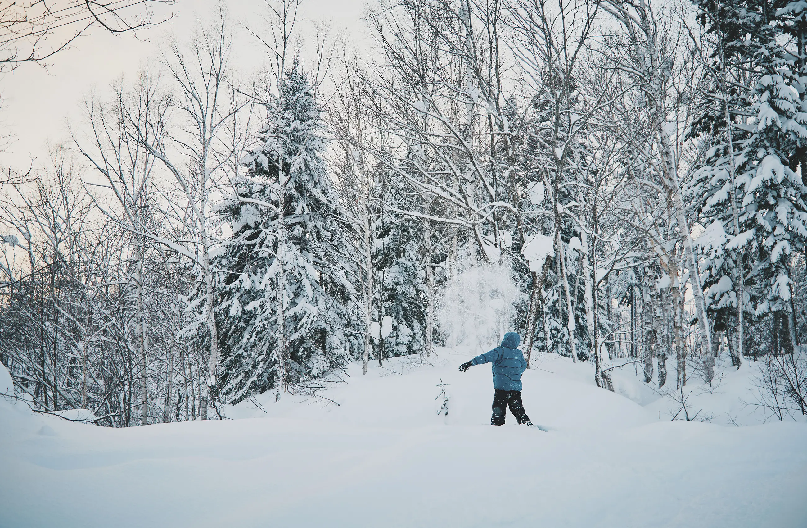 Winter Activities FALL / WINTER 2025