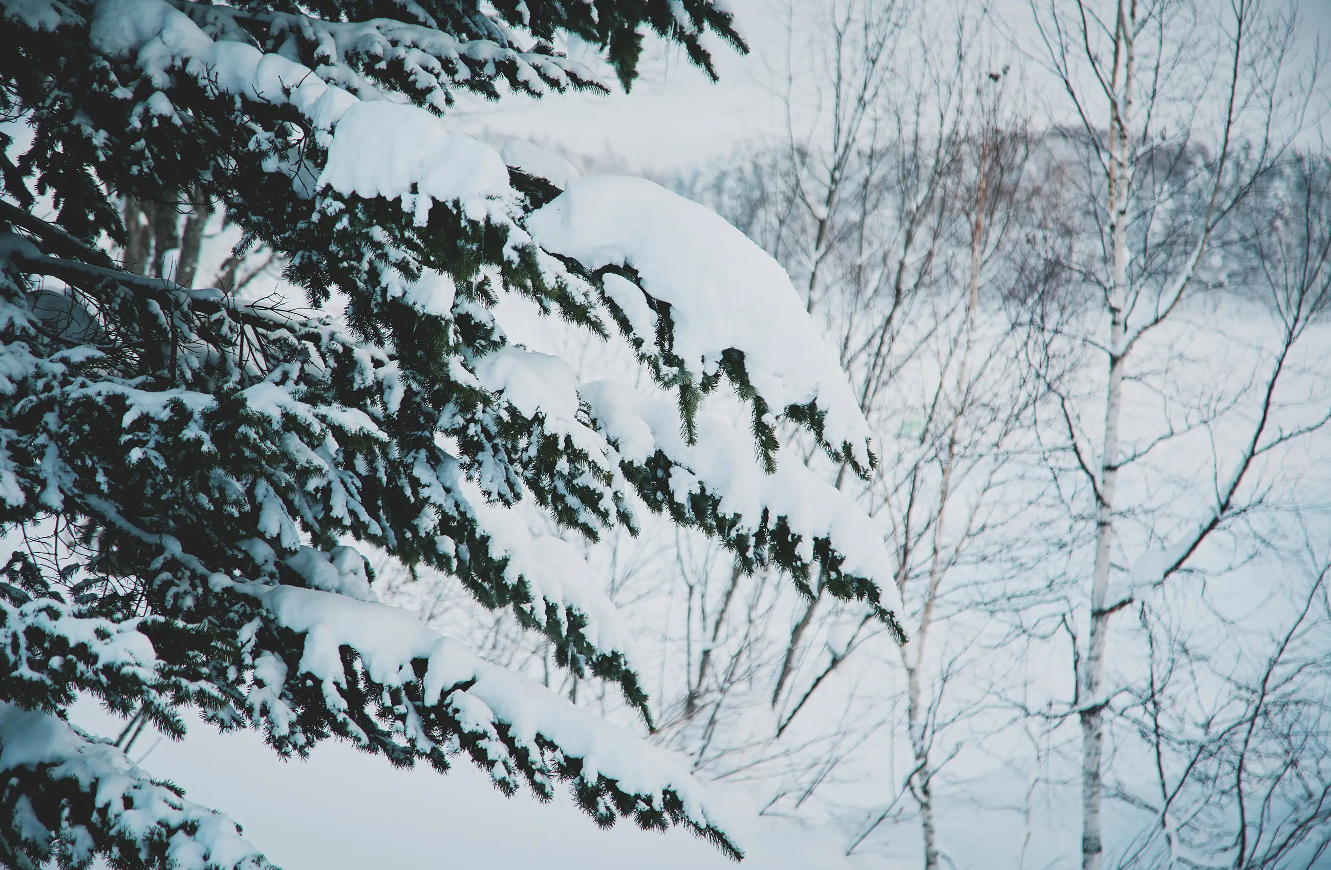 Winter Activities FALL / WINTER 2025