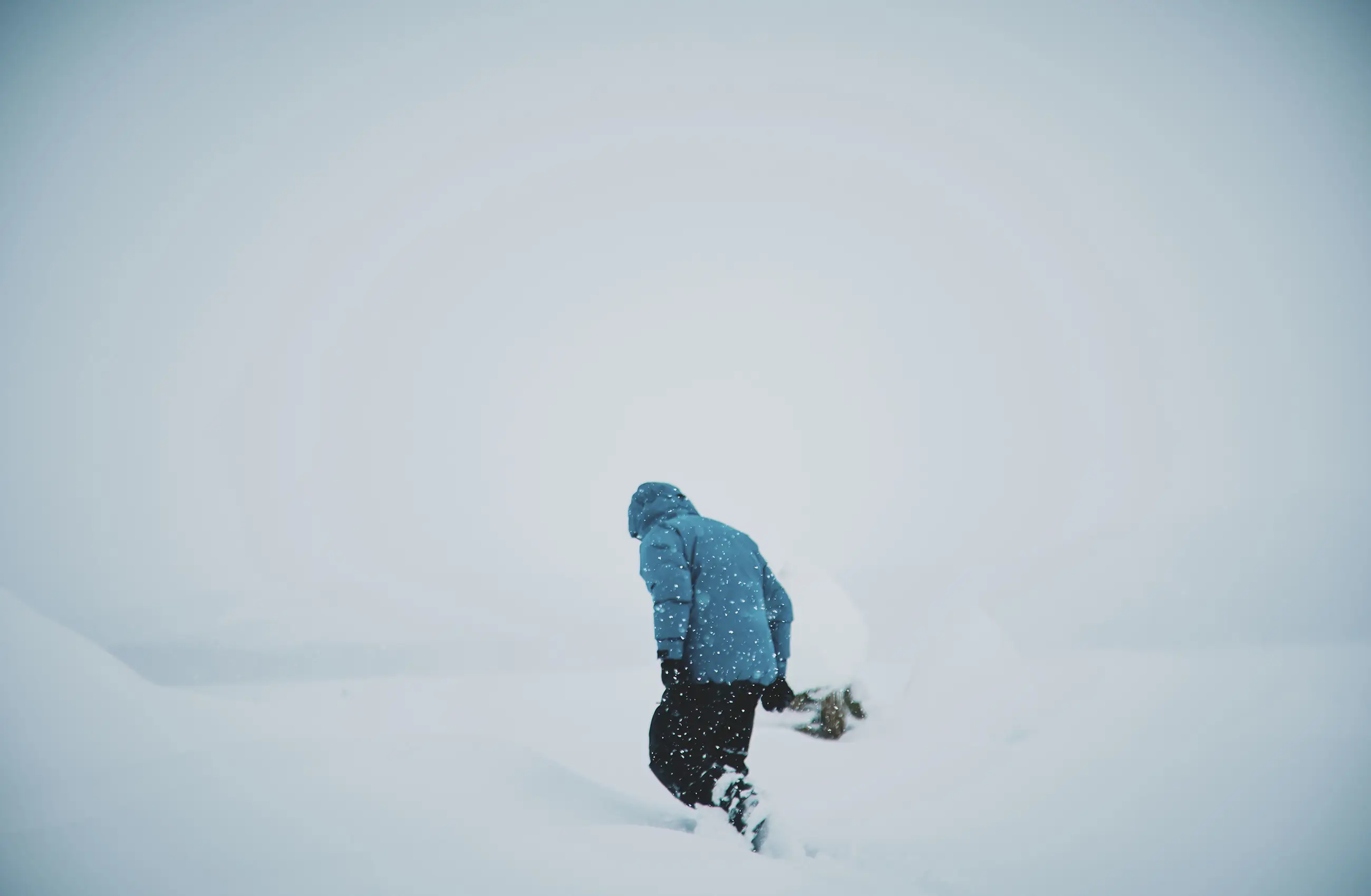 Winter Activities FALL / WINTER 2025