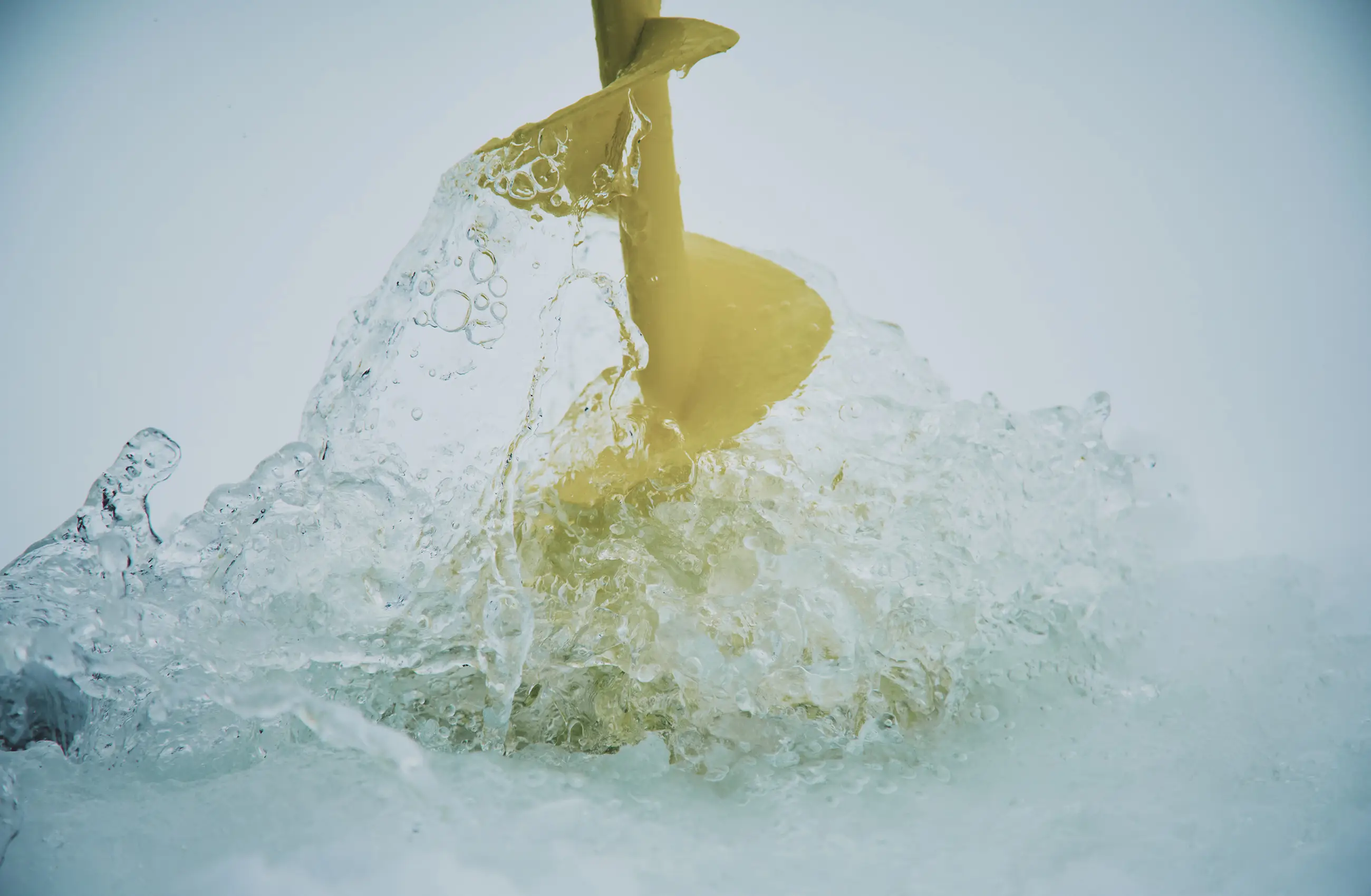 Winter Activities FALL / WINTER 2025