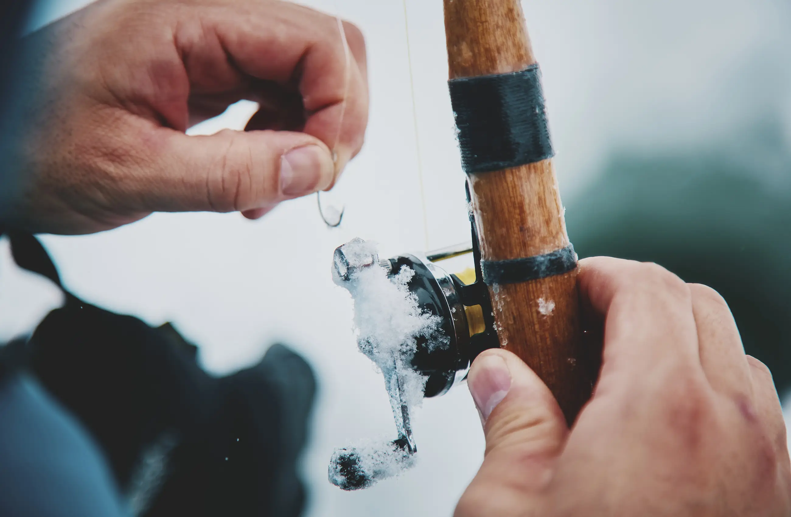 Winter Activities FALL / WINTER 2025