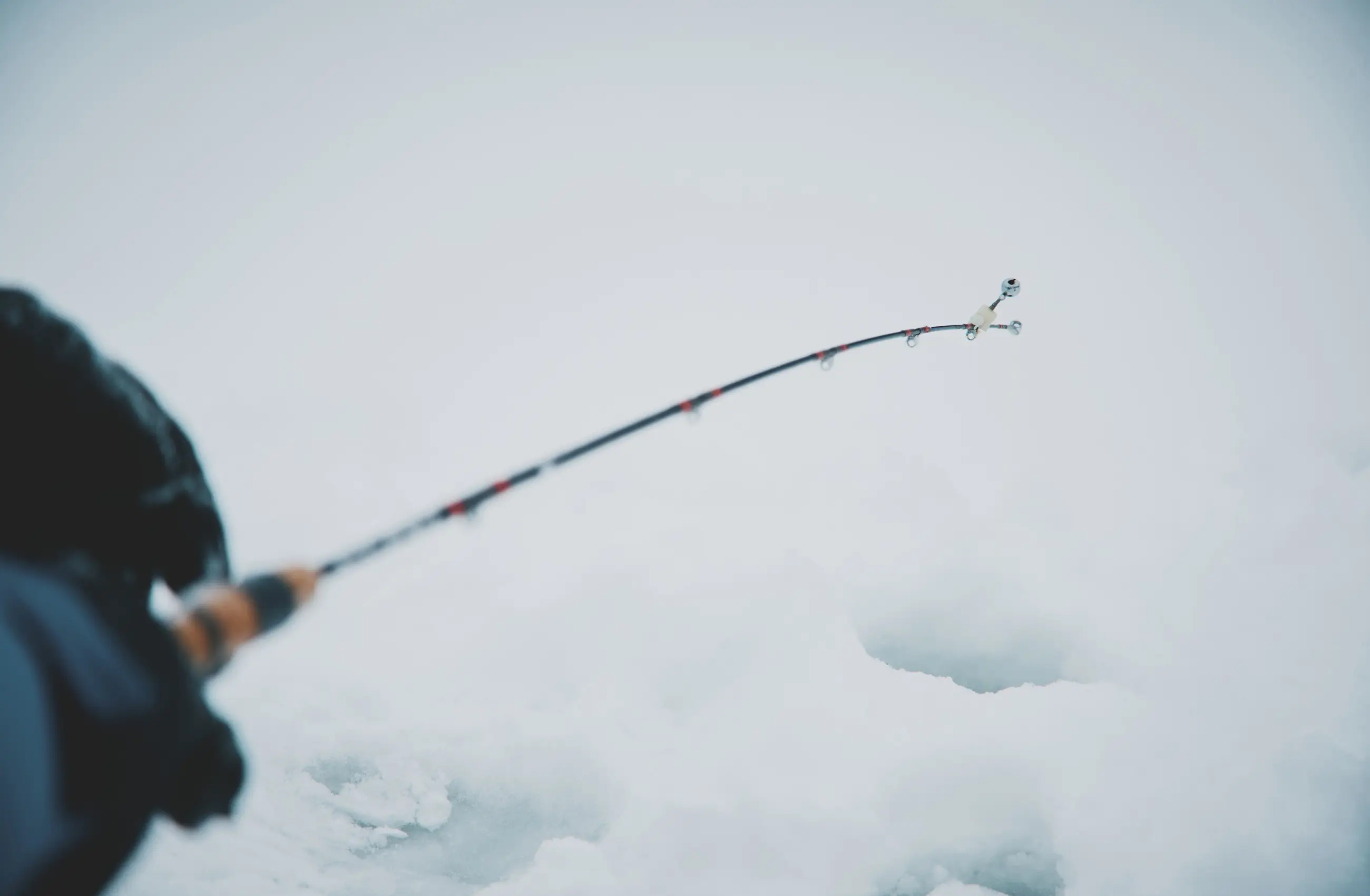 Winter Activities FALL / WINTER 2025