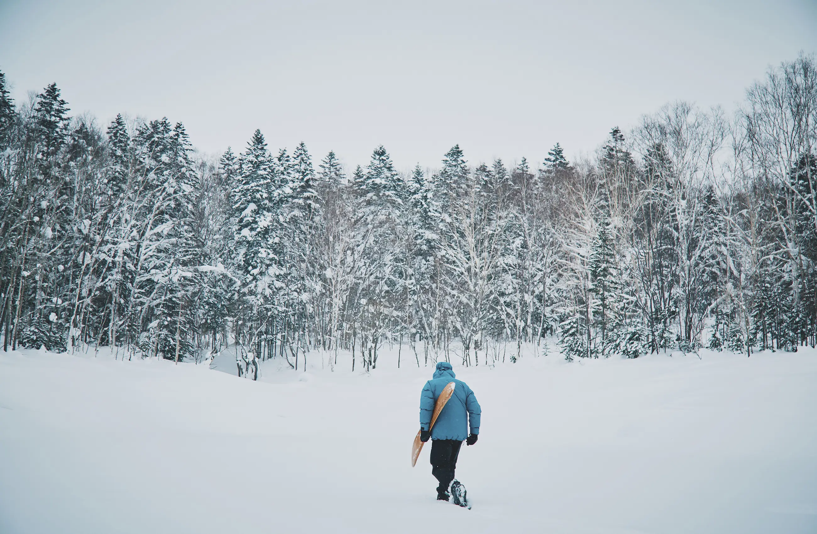 Winter Activities FALL / WINTER 2025