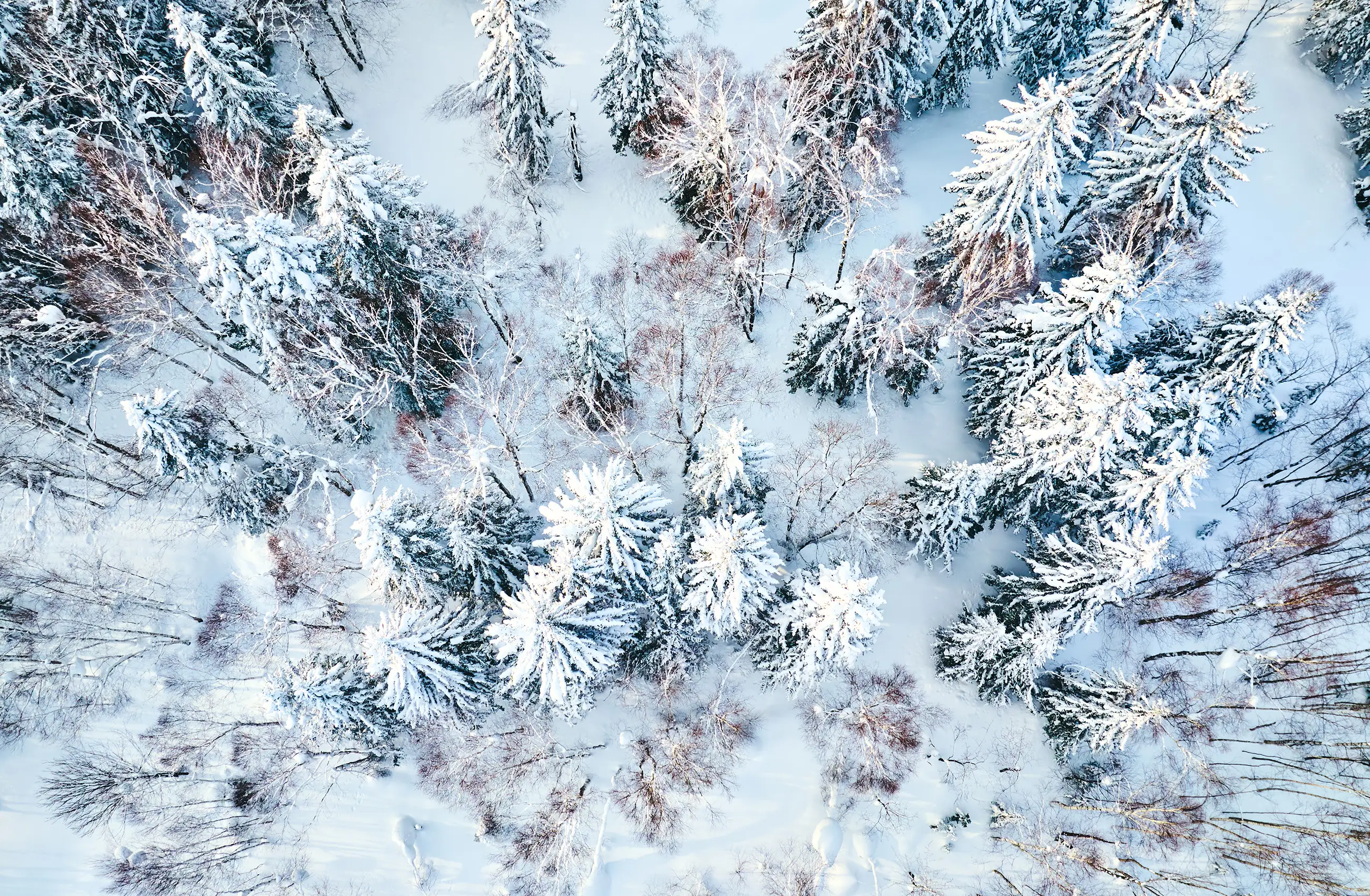 Winter Activities FALL / WINTER 2025