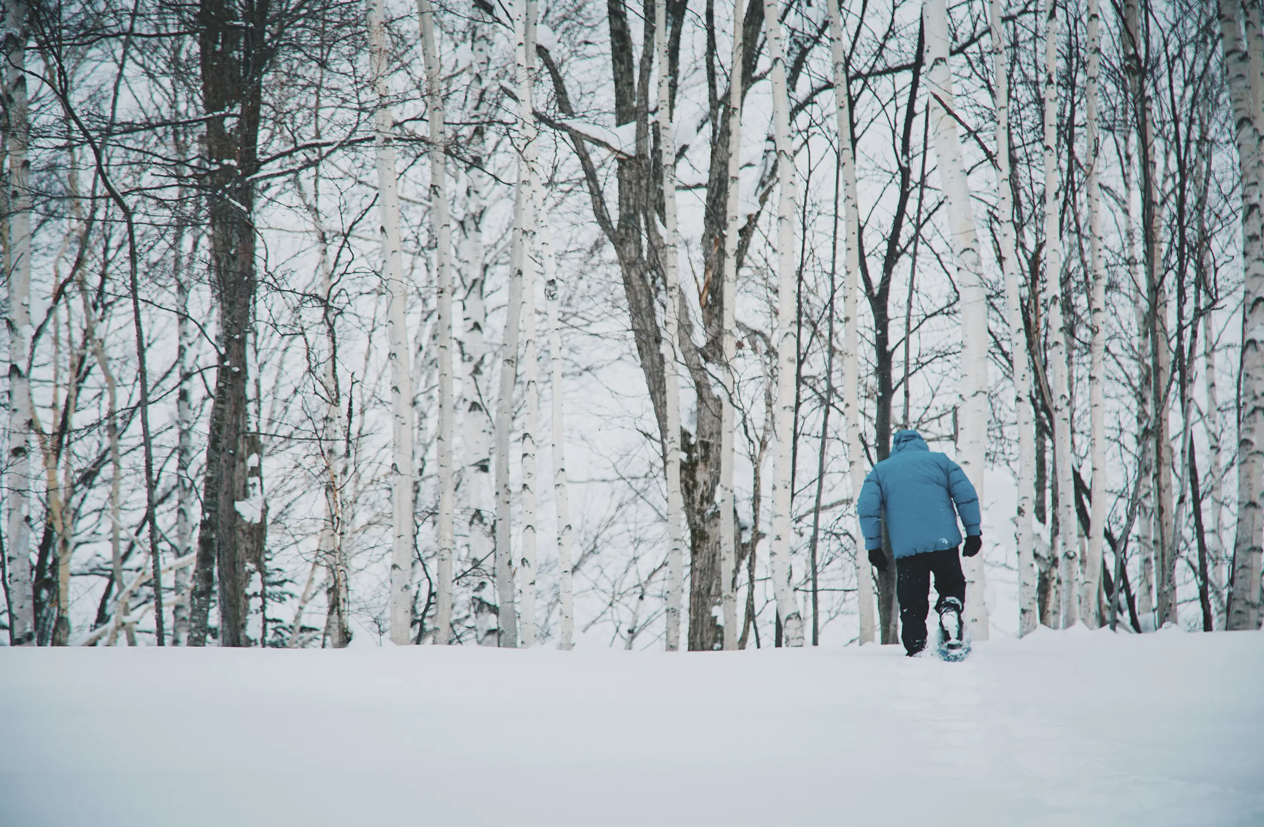 Winter Activities FALL / WINTER 2025