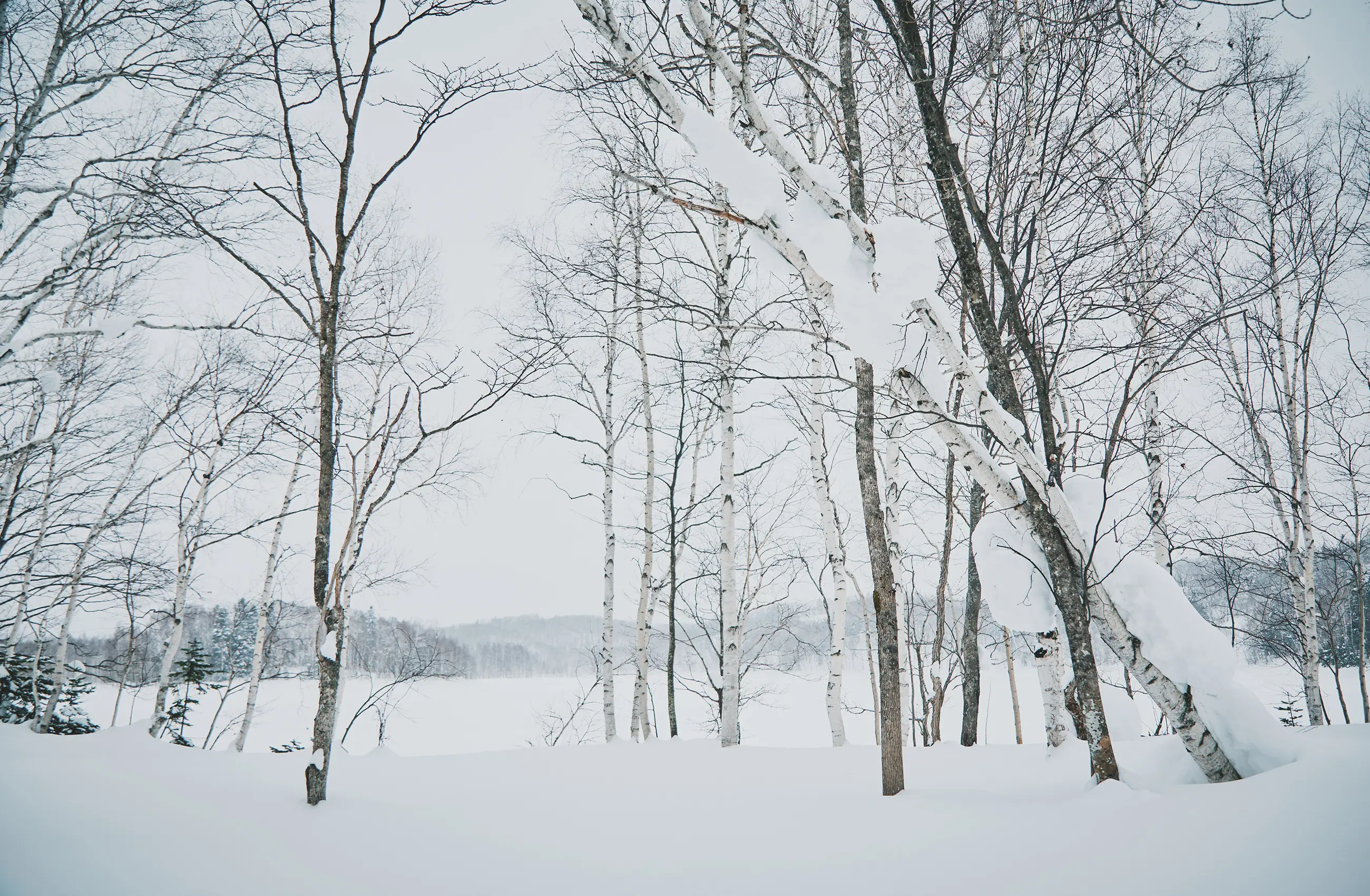 Winter Activities FALL / WINTER 2025