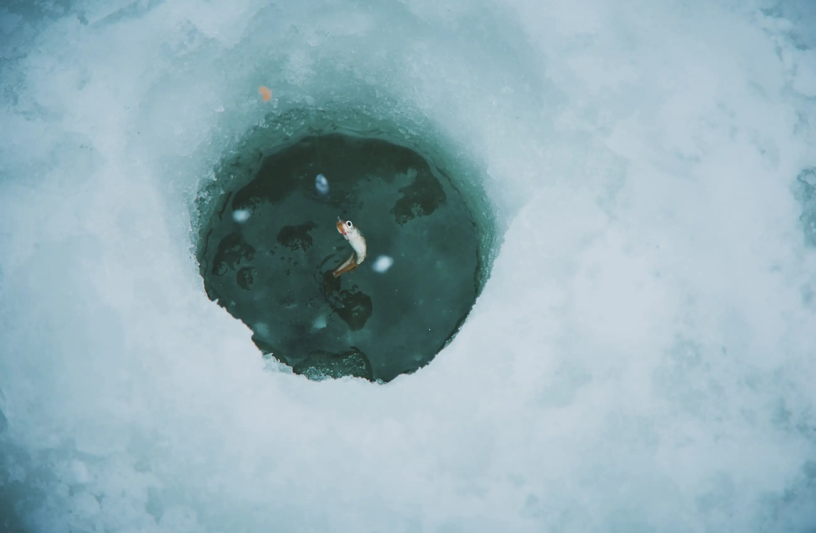 Winter Activities FALL / WINTER 2025