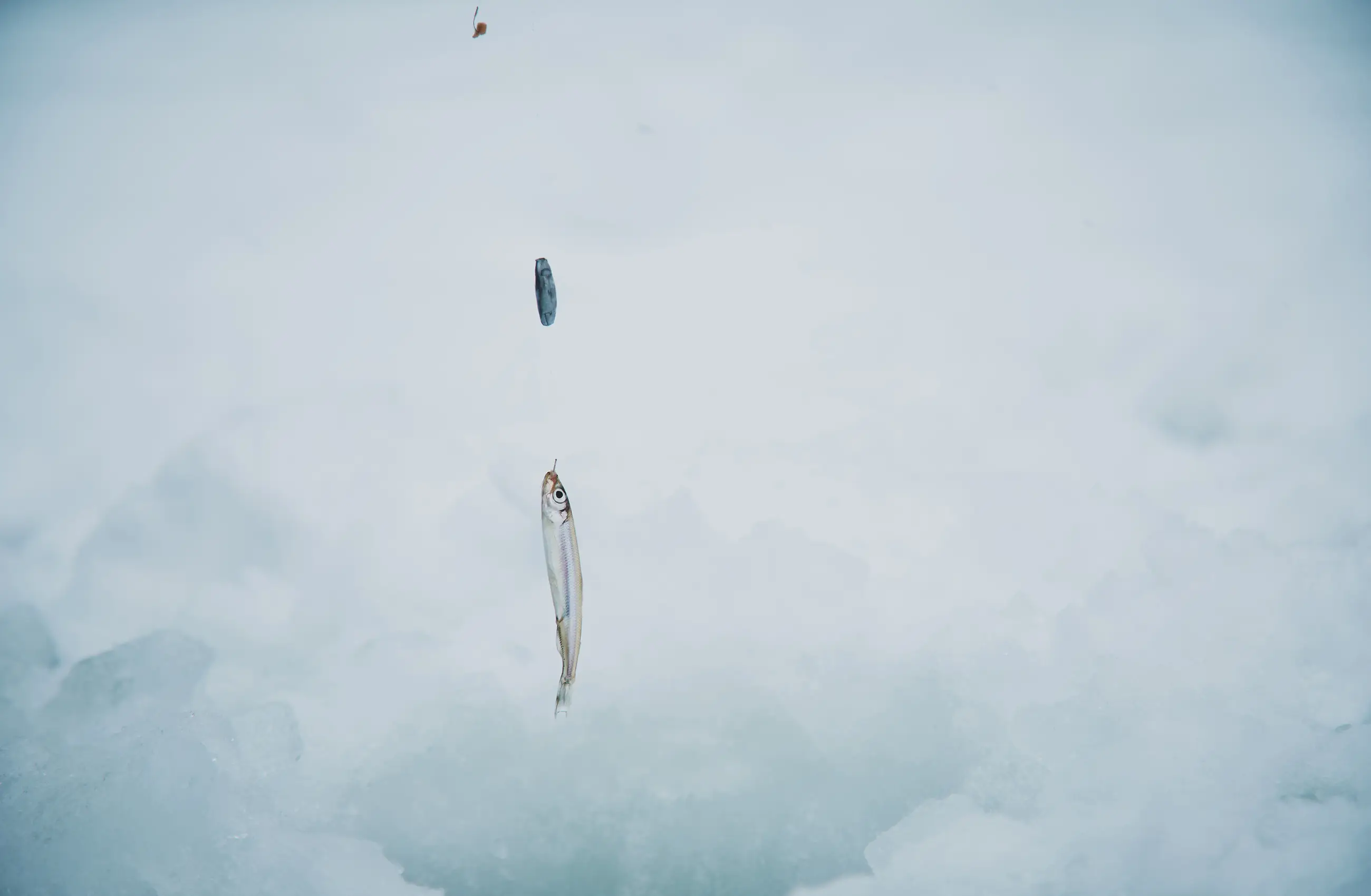 Winter Activities FALL / WINTER 2025