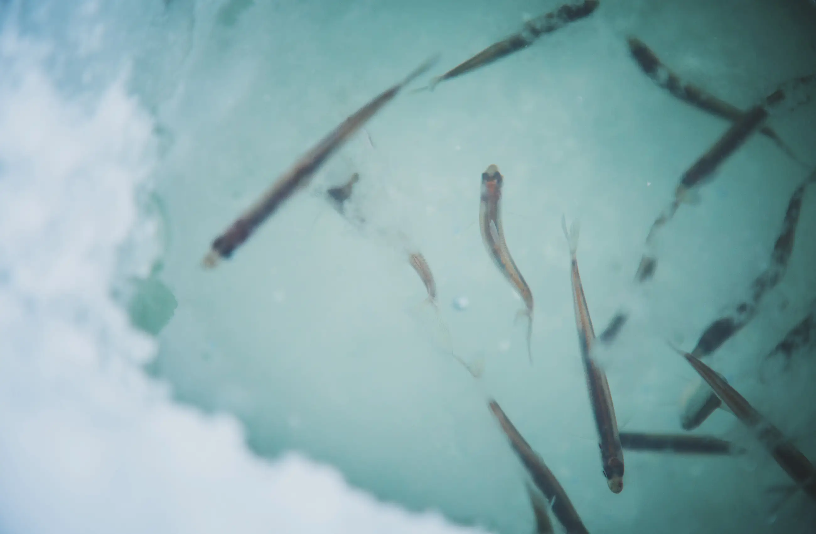 Winter Activities FALL / WINTER 2025