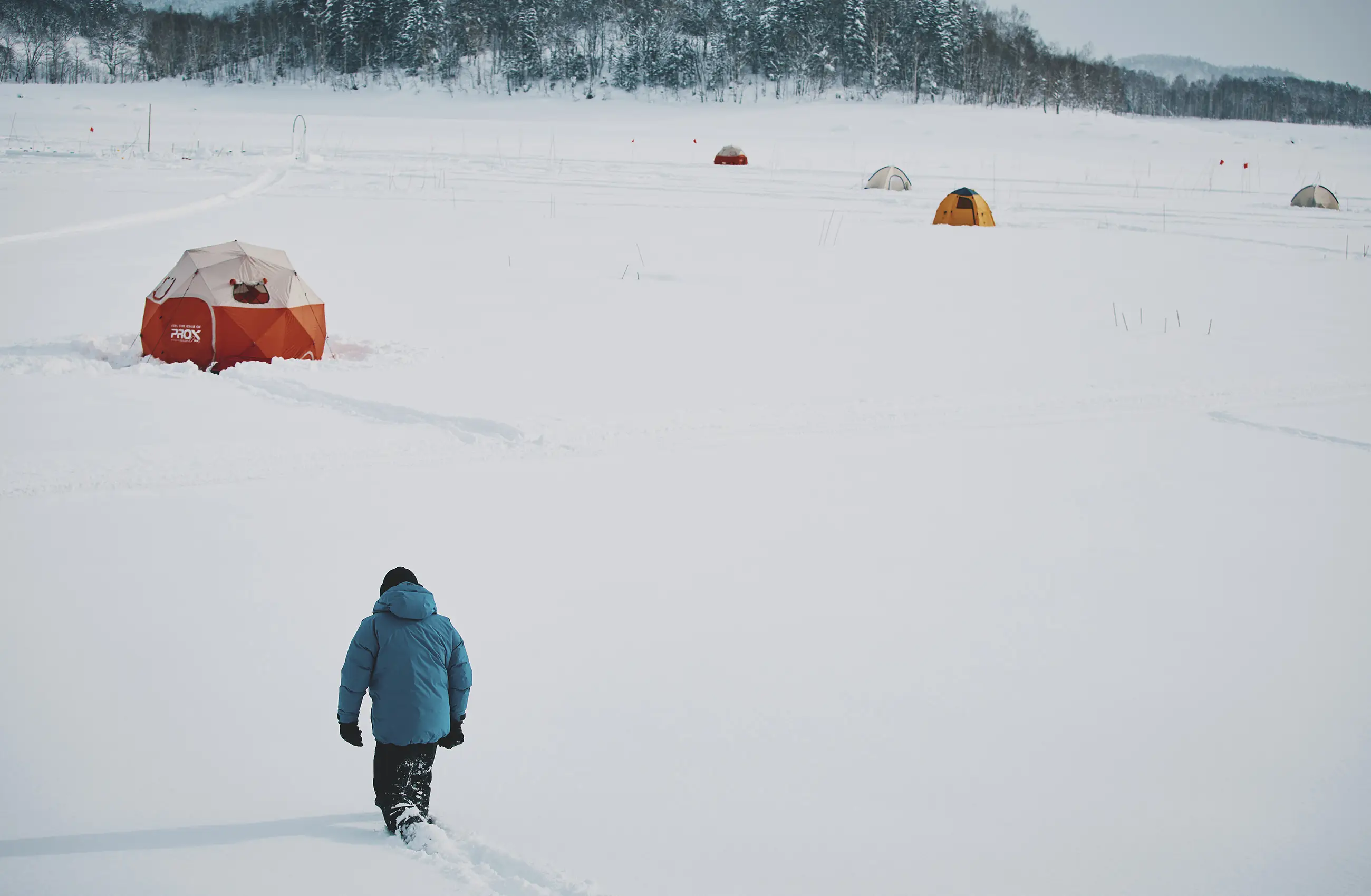 Winter Activities FALL / WINTER 2025