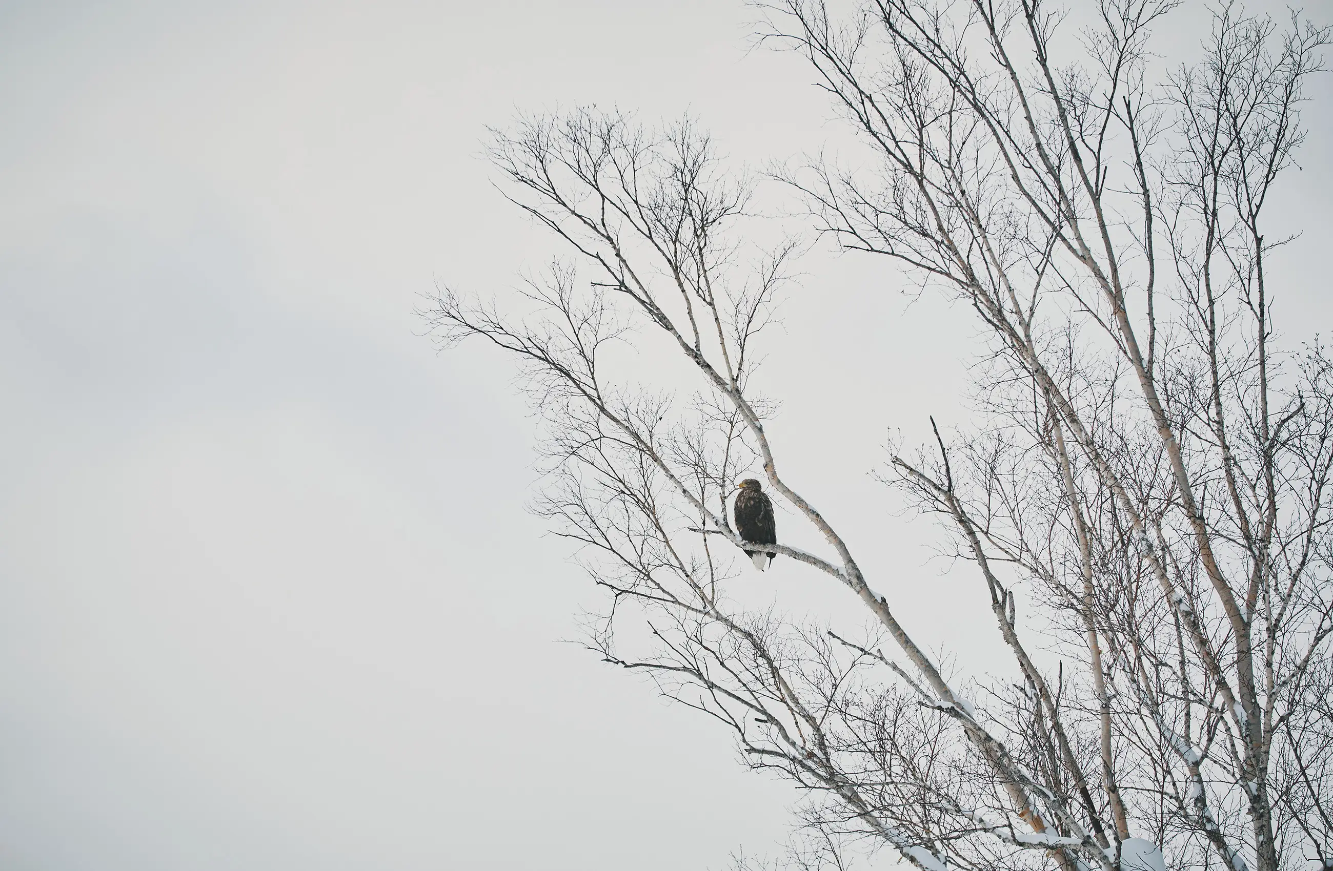 Winter Activities FALL / WINTER 2025