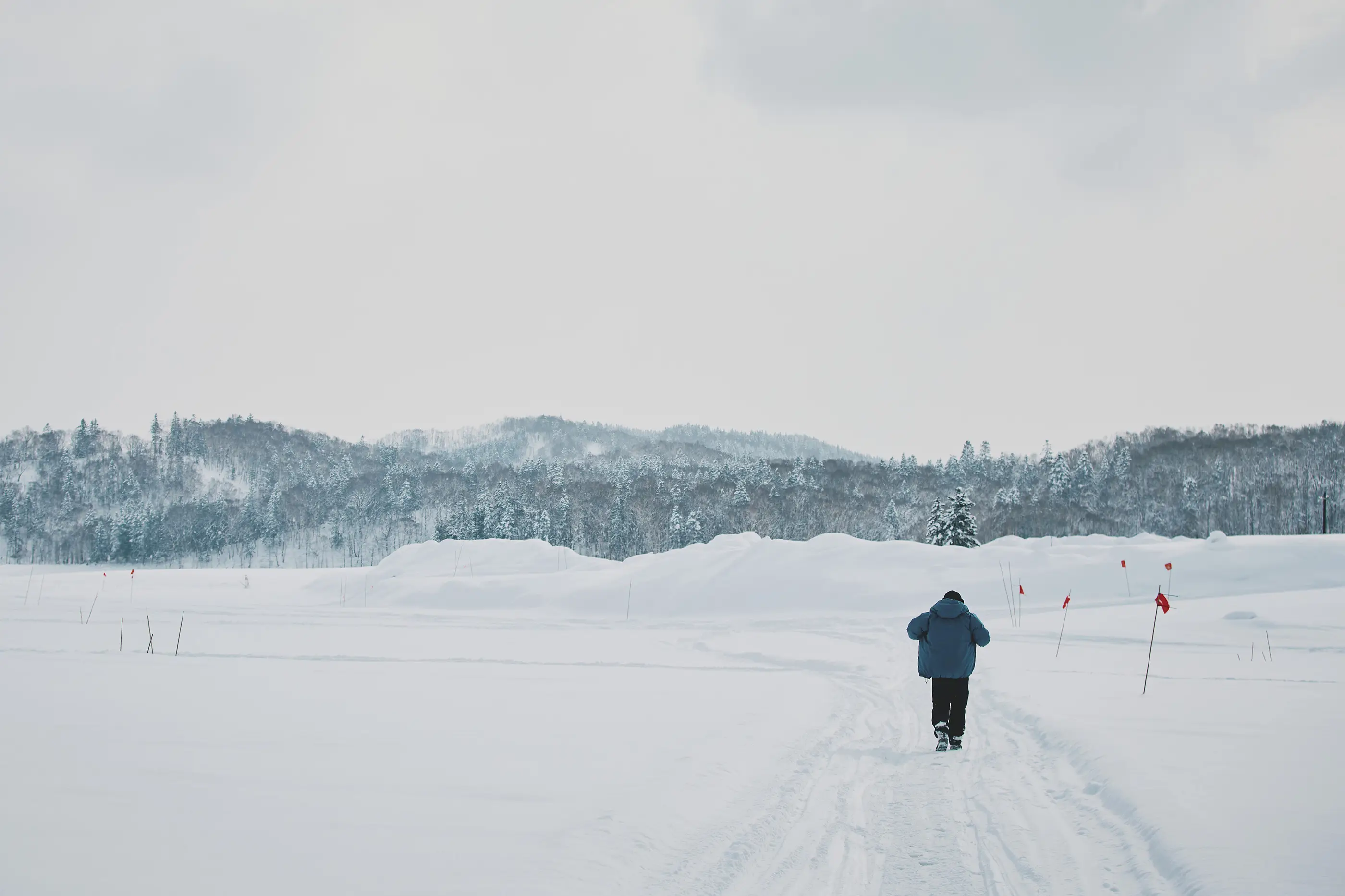 Winter Activities FALL / WINTER 2025