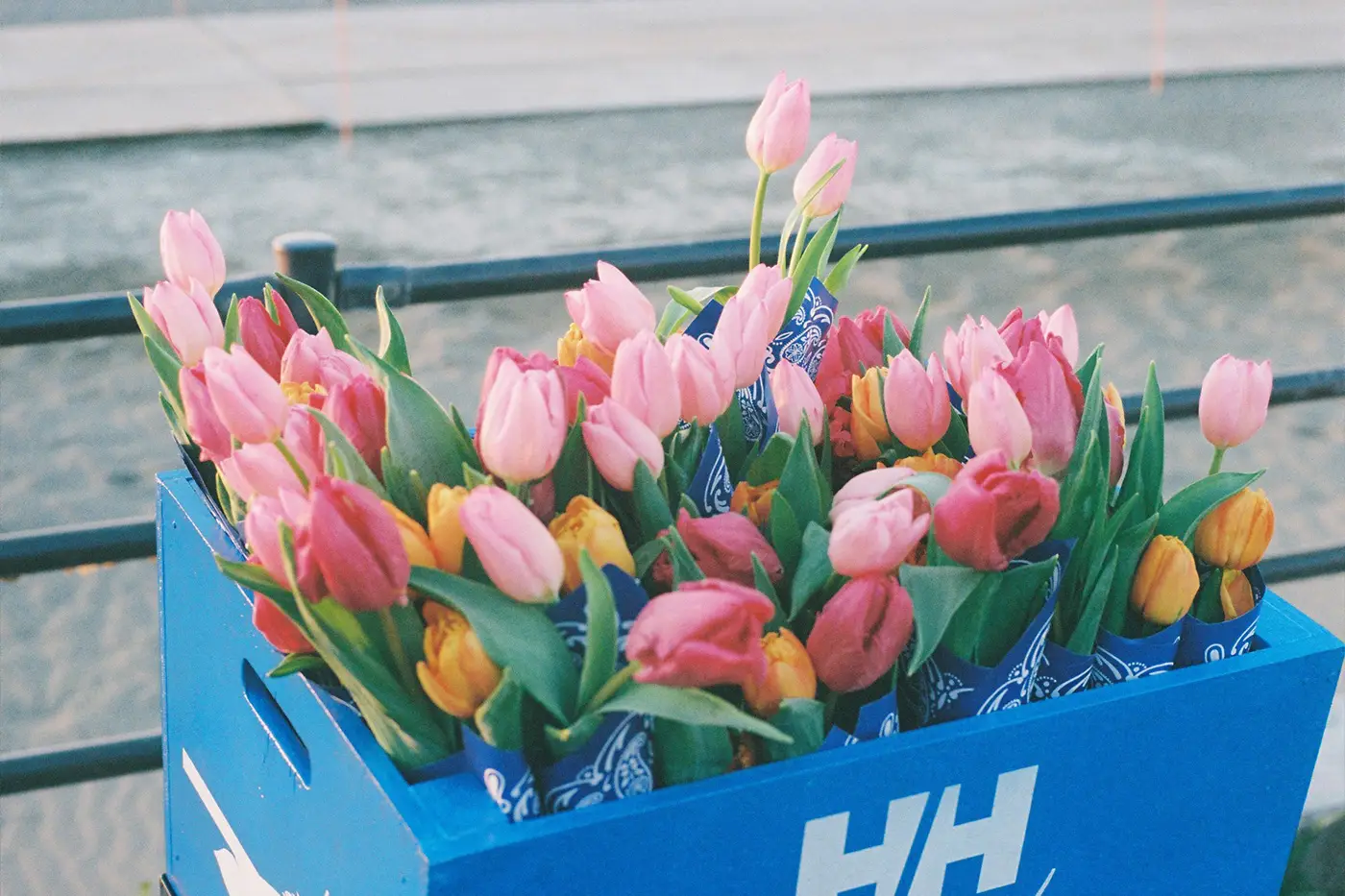 HELLY HANSEN CHALLENGER