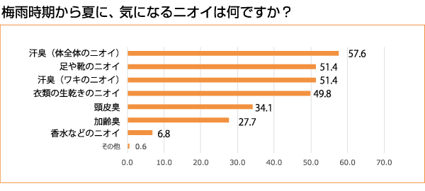 ポリジン加工あり