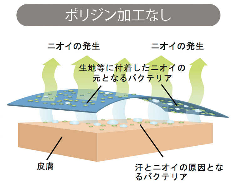 GOLDWINWEBSTORE｜汗をニオイにしない。ポリジン