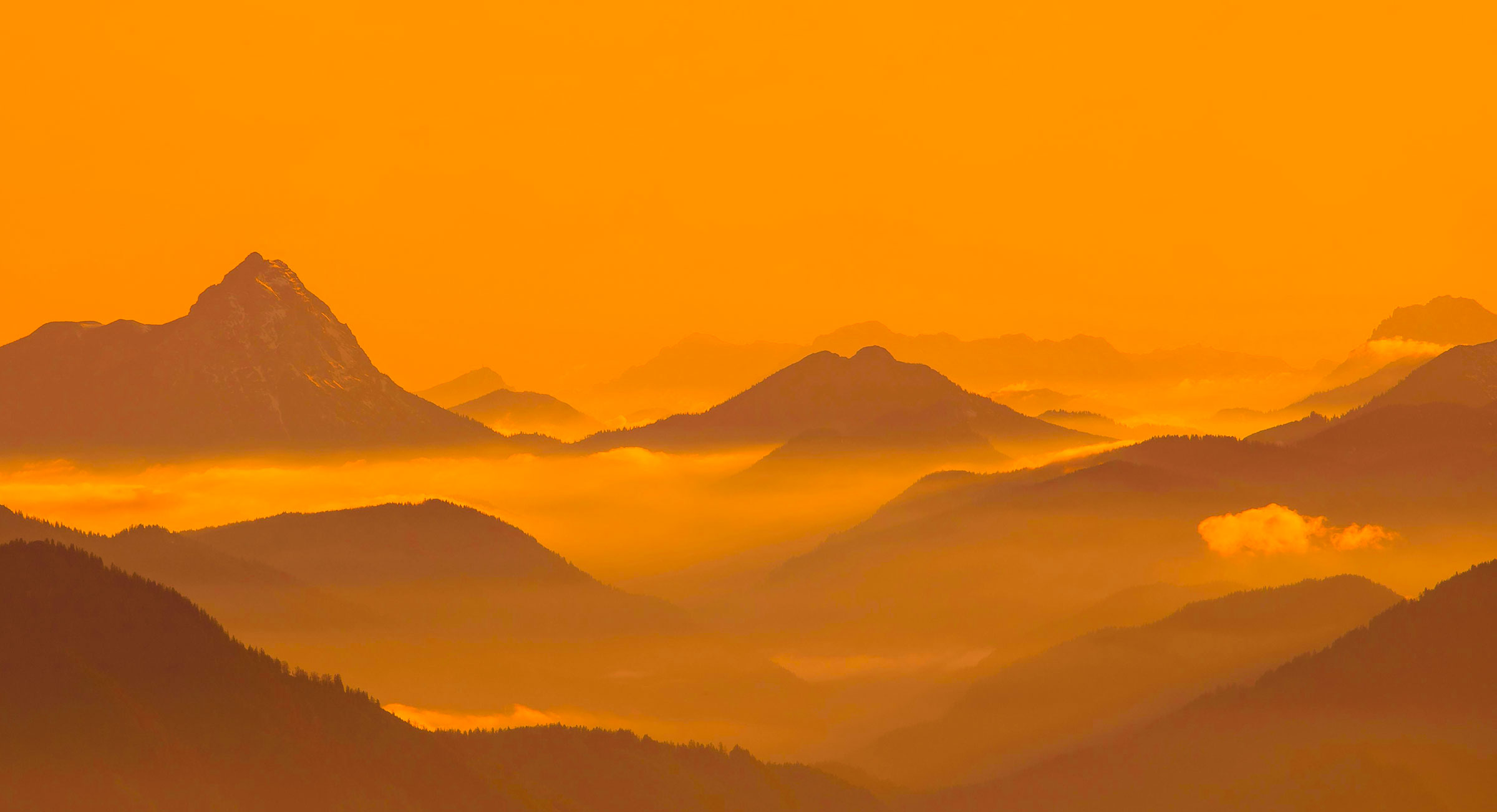 製品レビューキャンペーン