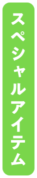 スペシャルアイテム