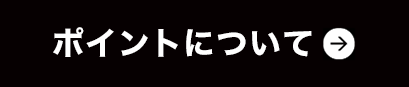 ポイントについて