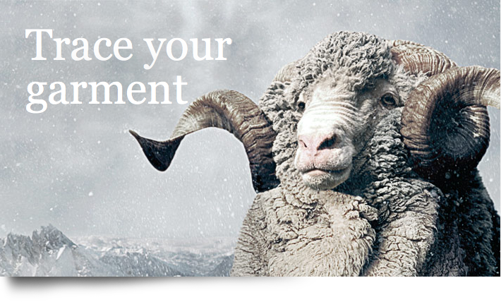 Trace your garment