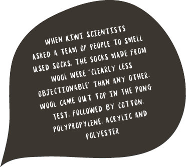 When Kiwi scientists asked a team of people to smell used socks, the socks made from wool were 'clearly less objectionable' than any other. Wool came out top in The Pong Test, followed by cotton, polypropylene, acrylic and polyester