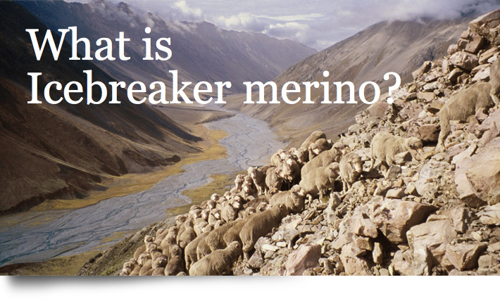 What is Icebreaker merino?