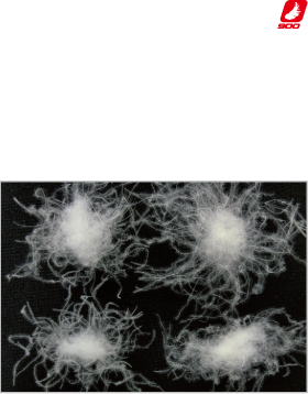 900フィルパワーダウン