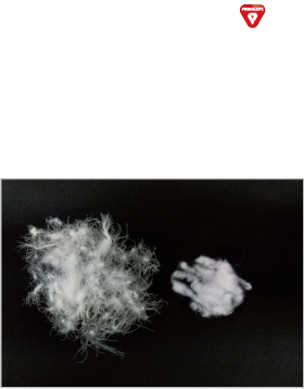 プリマロフトダウン