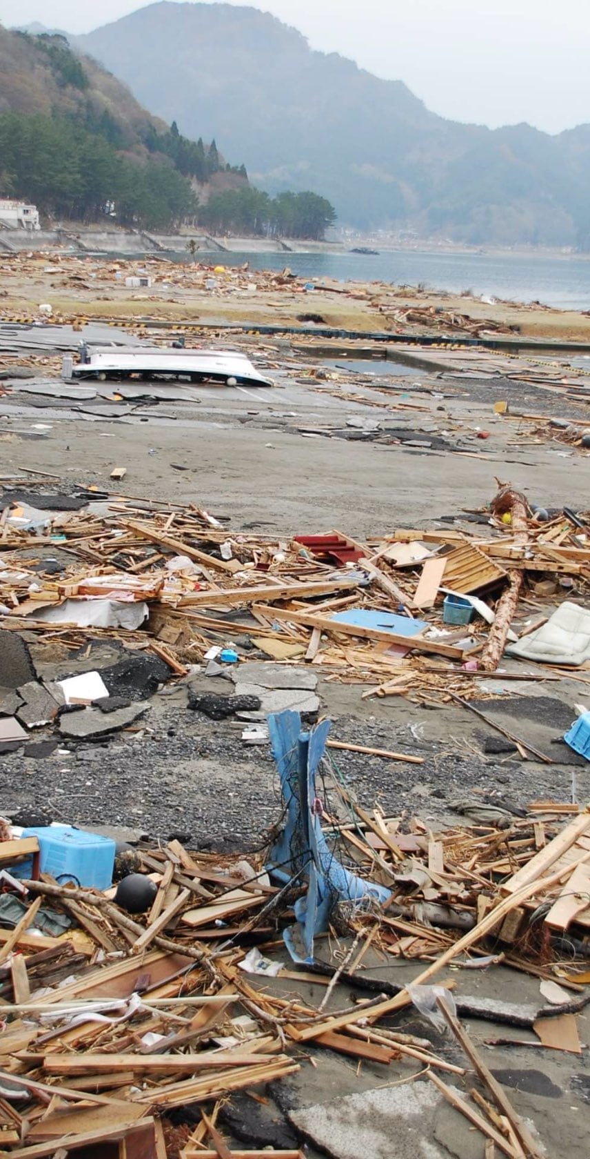 2011年の東日本大震災で壊滅的な被害を受けた東北沿岸水域