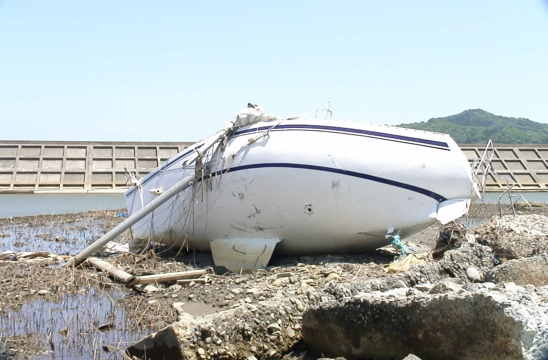 2011年の東日本大震災で壊滅的な被害を受けた東北沿岸水域