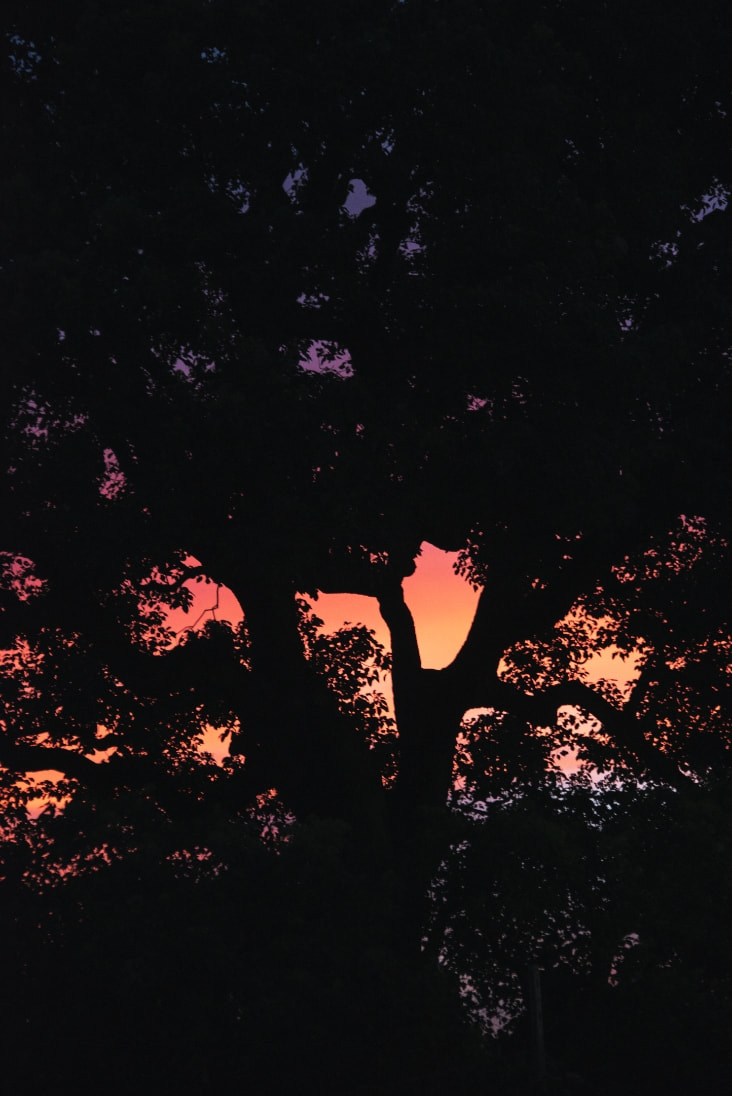 gwmaverick商品画像