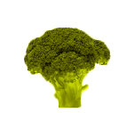 ブロッコリー
