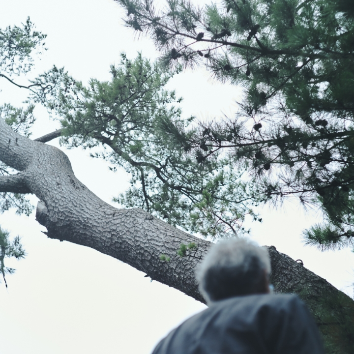 数百年生き抜いた木と向き合い続ける二人の、物事に向き合う真摯さ 澤 太一郎&山田 景