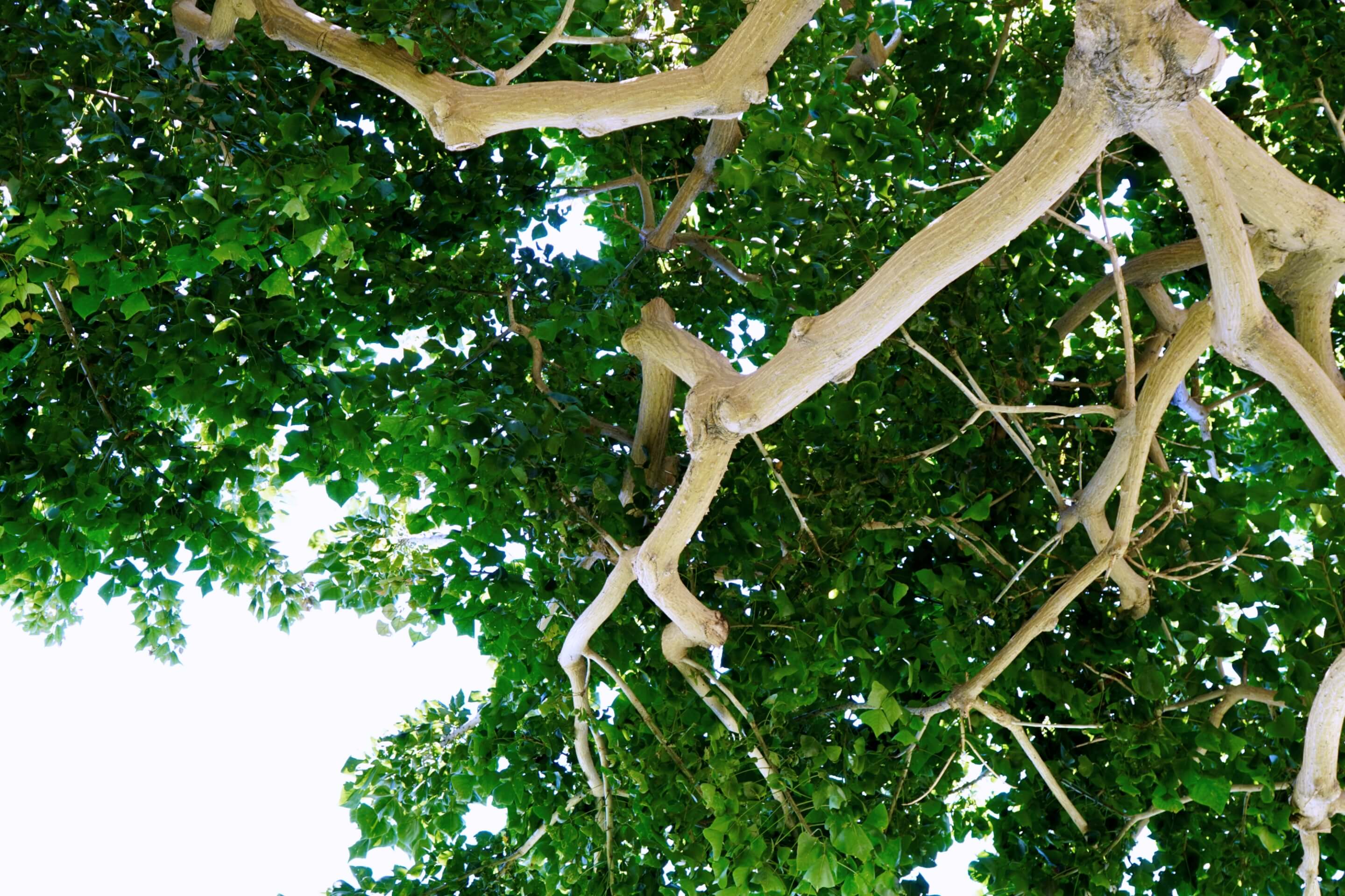 NEUTRALISM - 39 地球と繋がるコンディショニング | JOURNAL | INFORMATION | NEUTRALWORKS ...