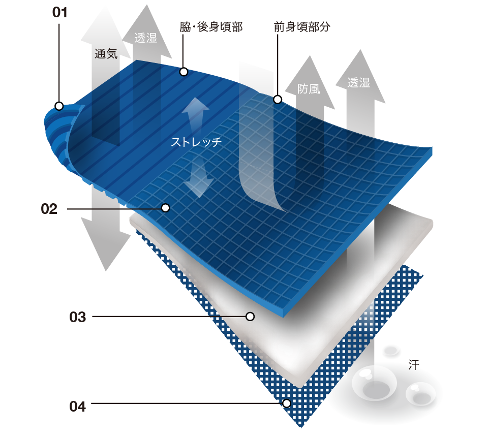 NY81771 diagram