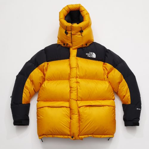 THE NORTH FACE HIM DOWN PARKA