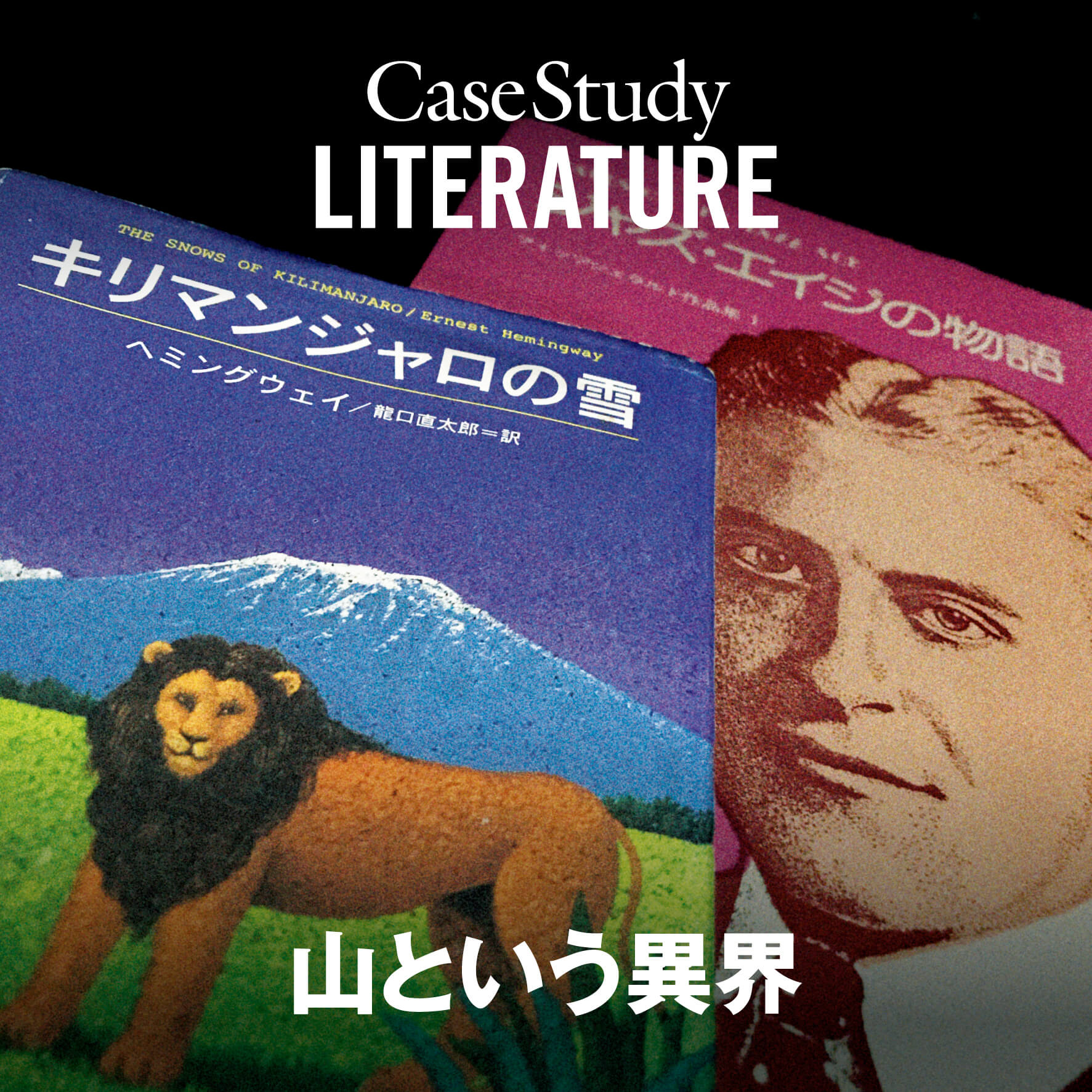 Case Study：LITERATURE