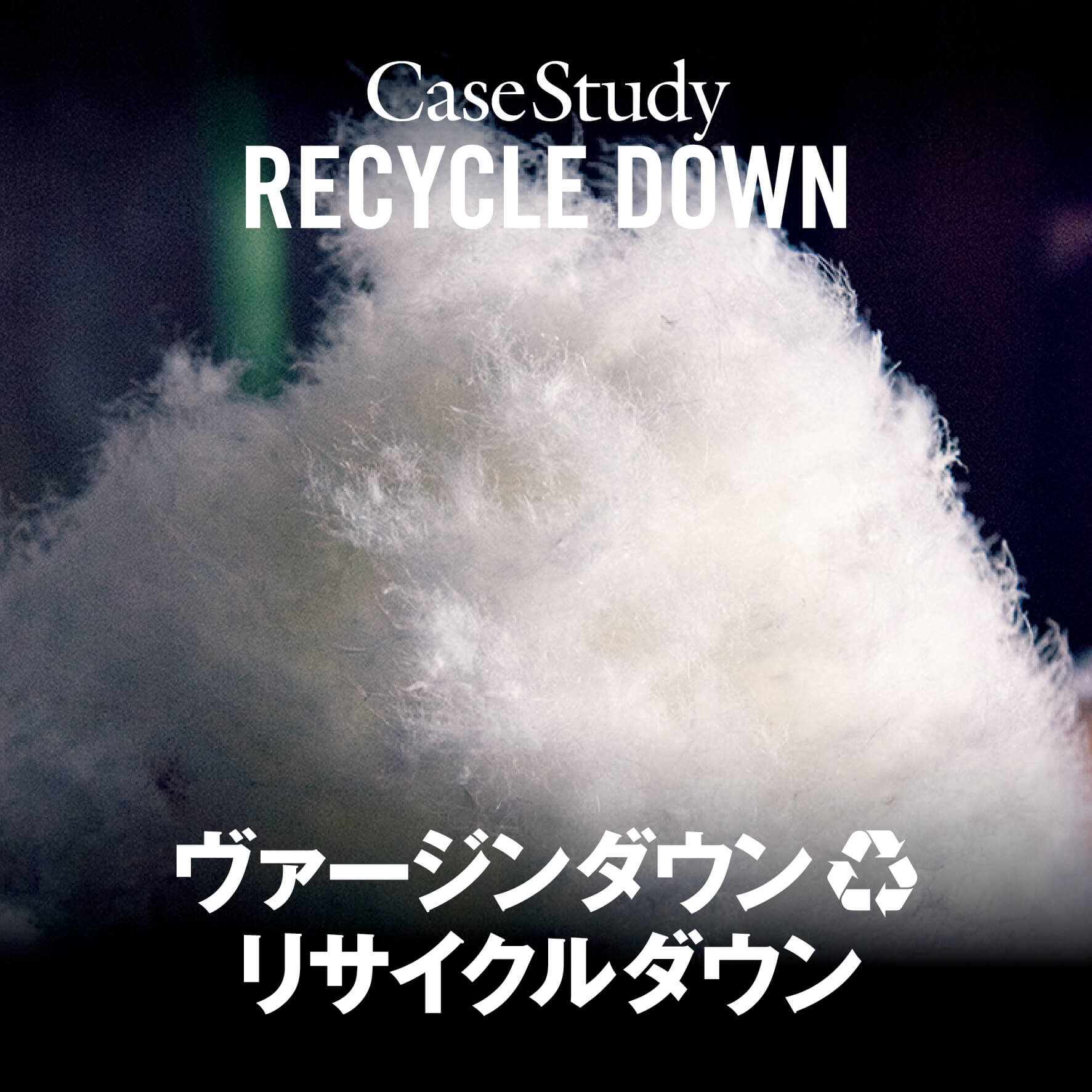 Case Study：RECYCLE DOWN
