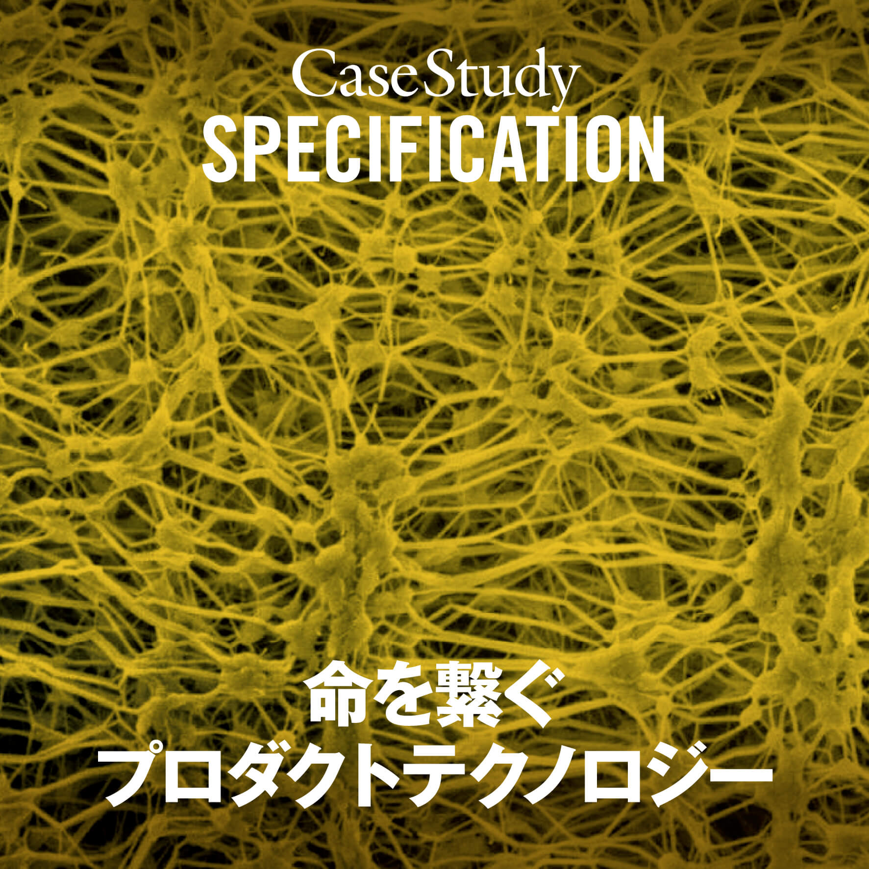Case Study：SPECIFICATION