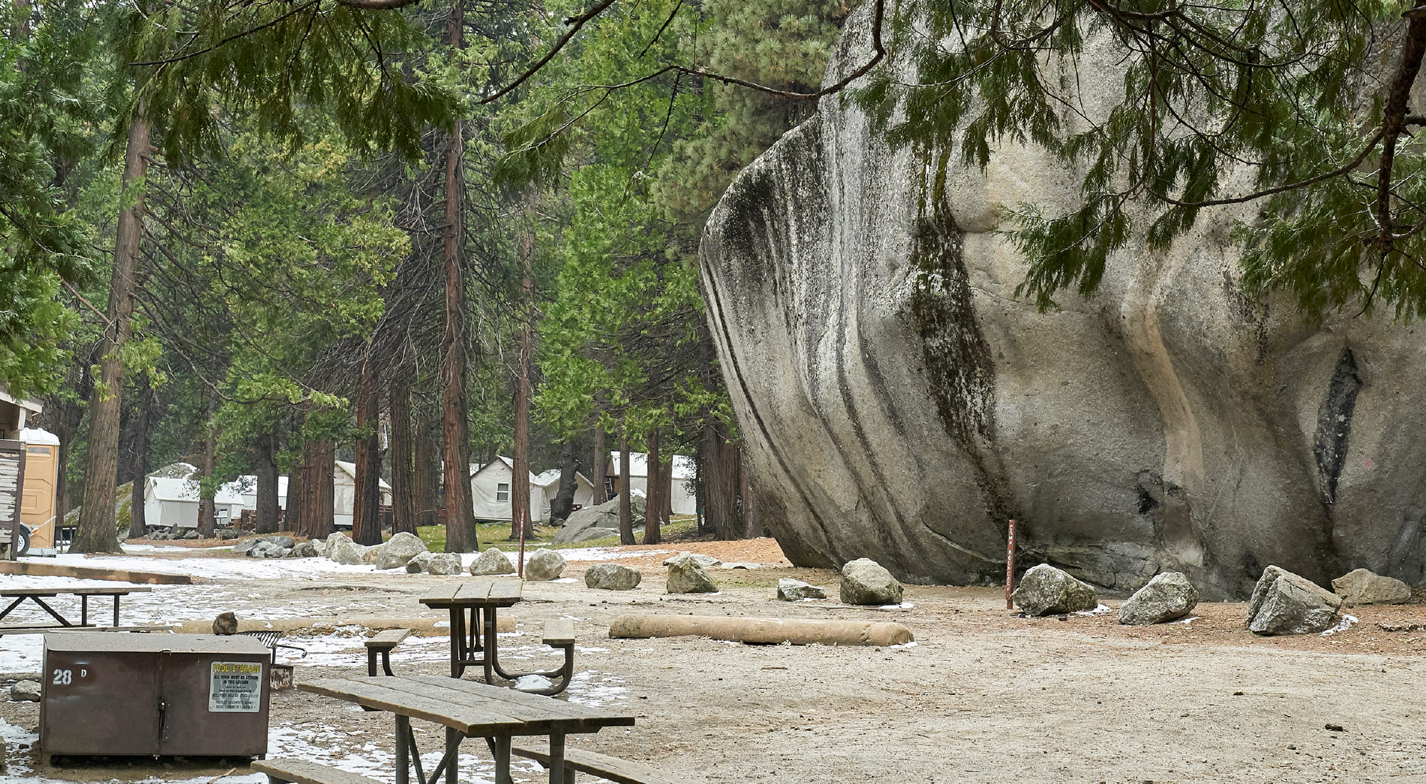 DISCOVERING DAYS IN YOSEMITE
