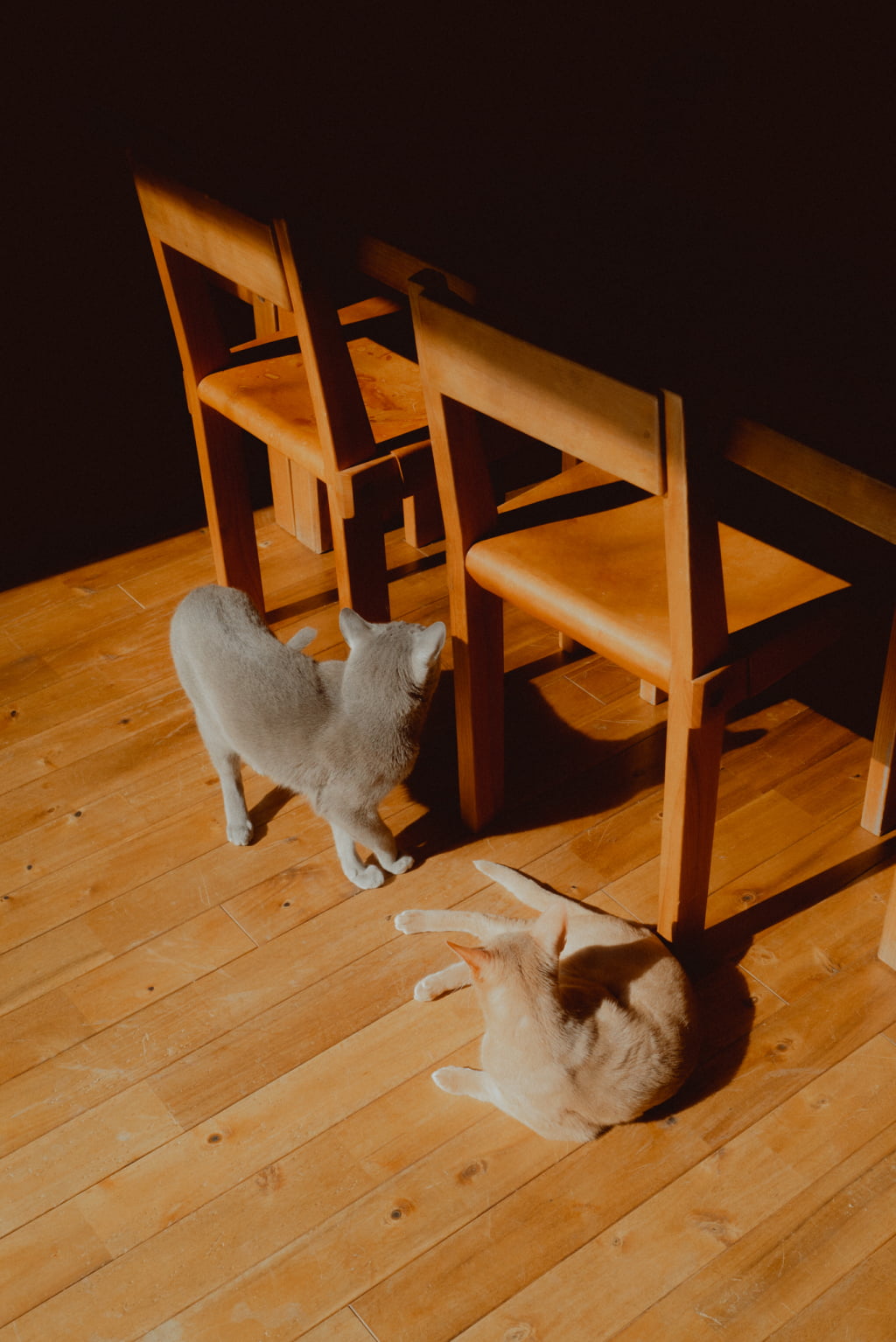 ファッションは必要か畑から学んだ新たな価値観 瀬川誠人 VOTE for LOVE THE NORTH FACE meets