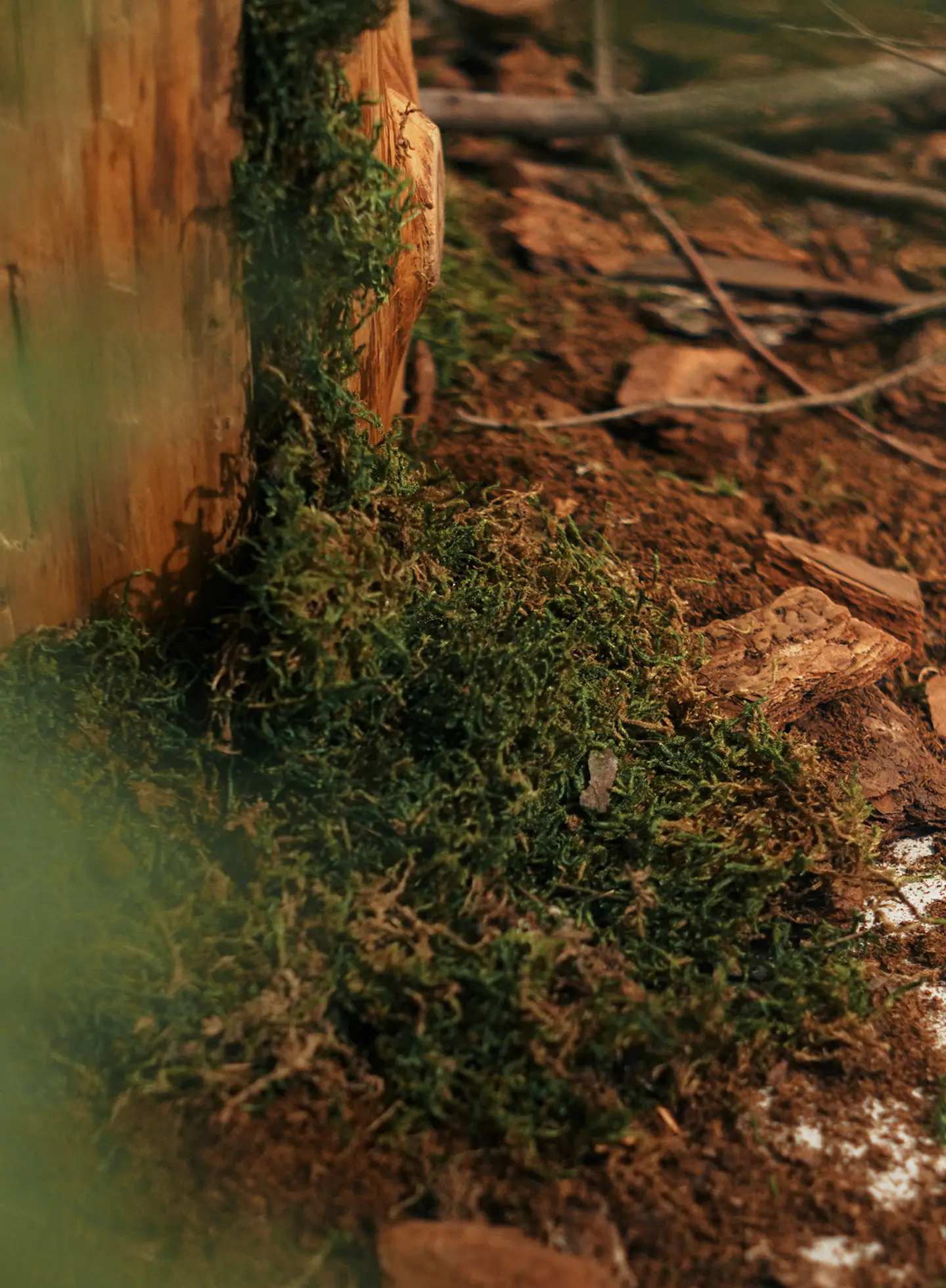 THE NORTH FACE KIDS ON FIELD