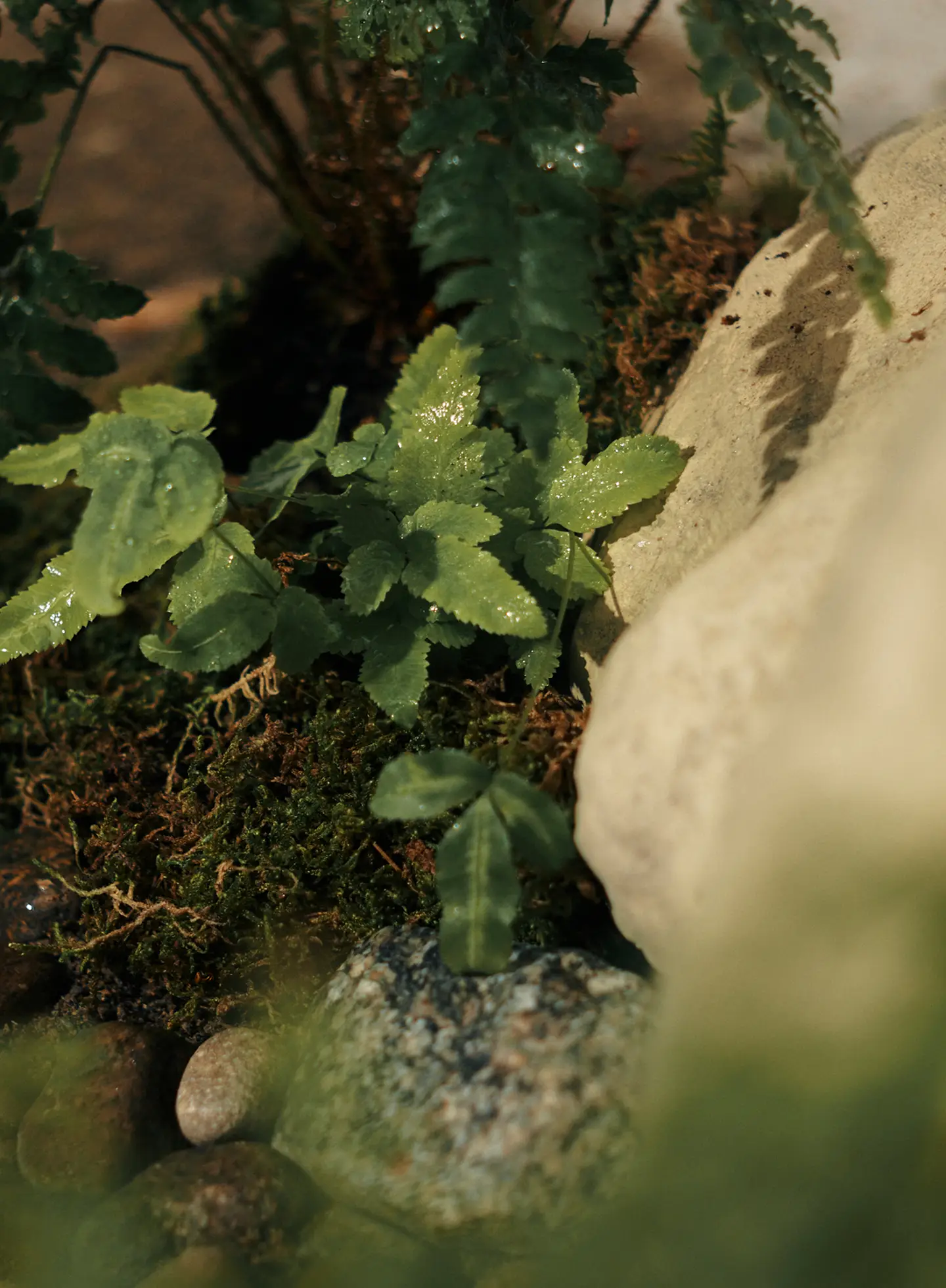 THE NORTH FACE KIDS IN WATER