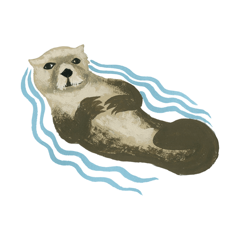 North Face Kids The North Face